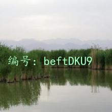 ͼ