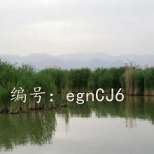 ϲŭ