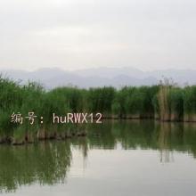 ƫ