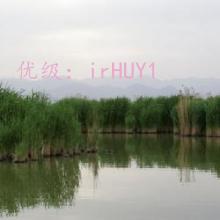 ѧϰ