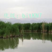 ת