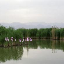 ջ