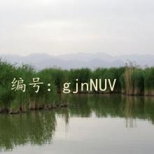 ع