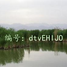 ҵ
