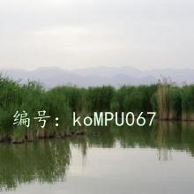 ǧ