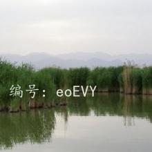ƻ