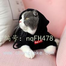 ǧ